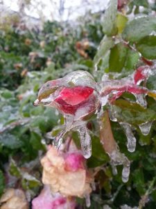 ice storm