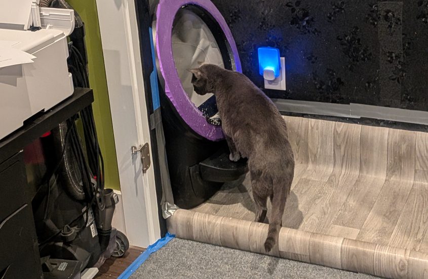 My Three Year Review of the Litter Robot 4